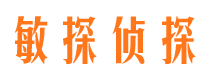 遂川婚外情调查